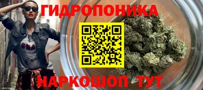 ECSTASY Будённовск
