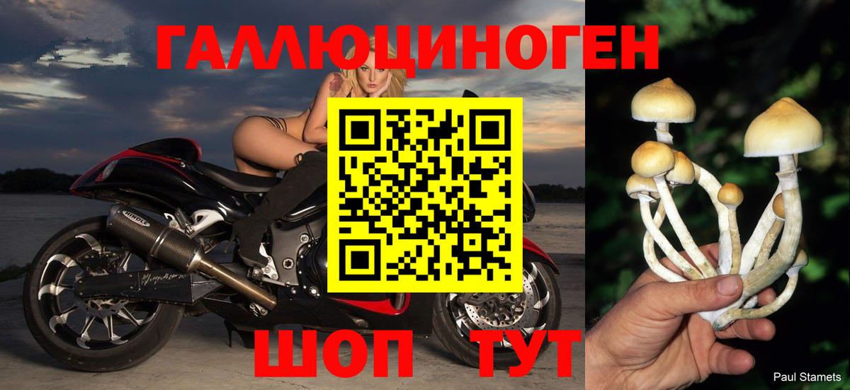 Псилоцибиновые грибы Psilocybe  Вход с VPN  Нефтекамск  Галлюциногенные грибы GOLDEN TEACHER 